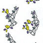 Cello Rolls Various Patterns & Colors