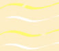 Cello Rolls Various Patterns & Colors